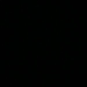 Meet your Posher, Ruth